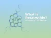 What is Retatrutide? A Guide to This Peptide What is Retatrutide? A Guide to This Peptide